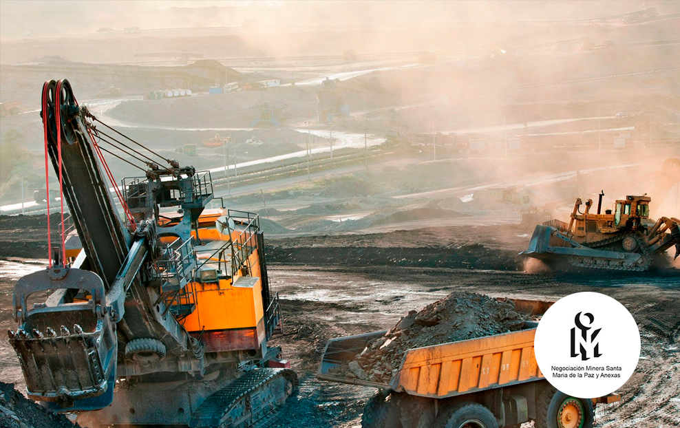 Experiencia Profesional